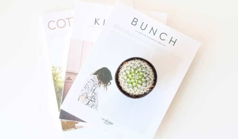 Three magazines fanned out on a white surface, with a front cover showing a potted succulent plant