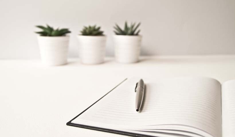 Open notebook with a pen on a white desk, three small succulents in pots blurred in the background.