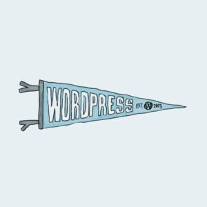 Pale blue background with a blue pennant banner reading 'WORDPRESS EST. 2003' in bold letters (illustration)