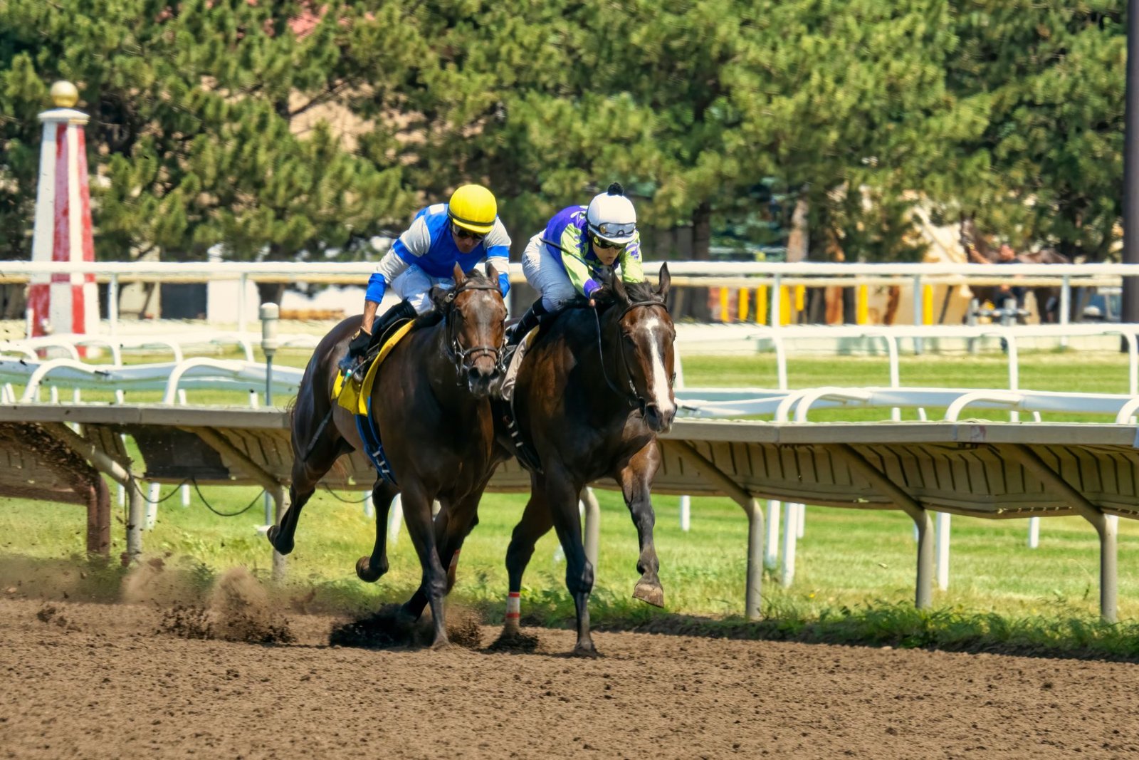 men riding horses