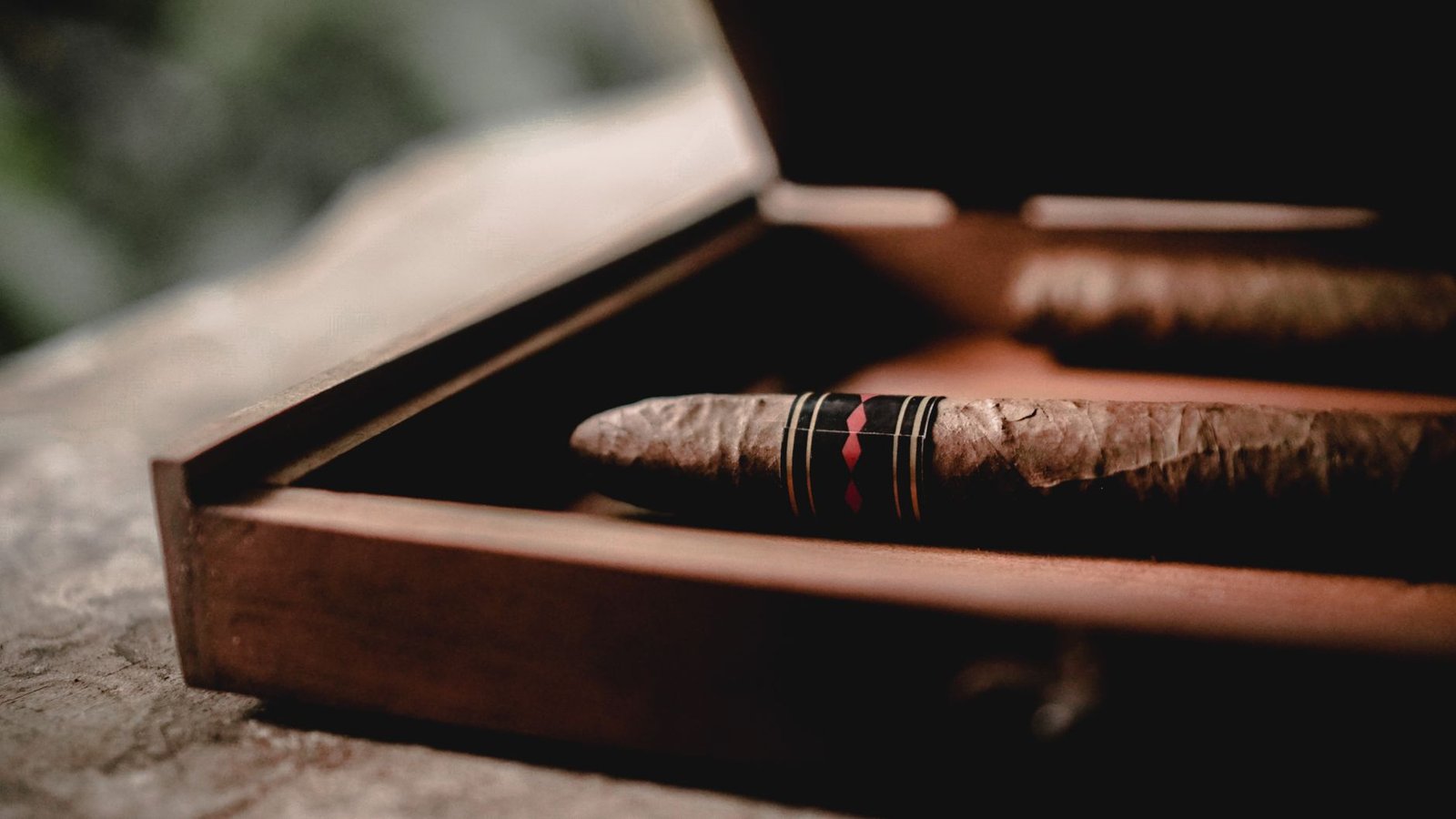 cigar in box